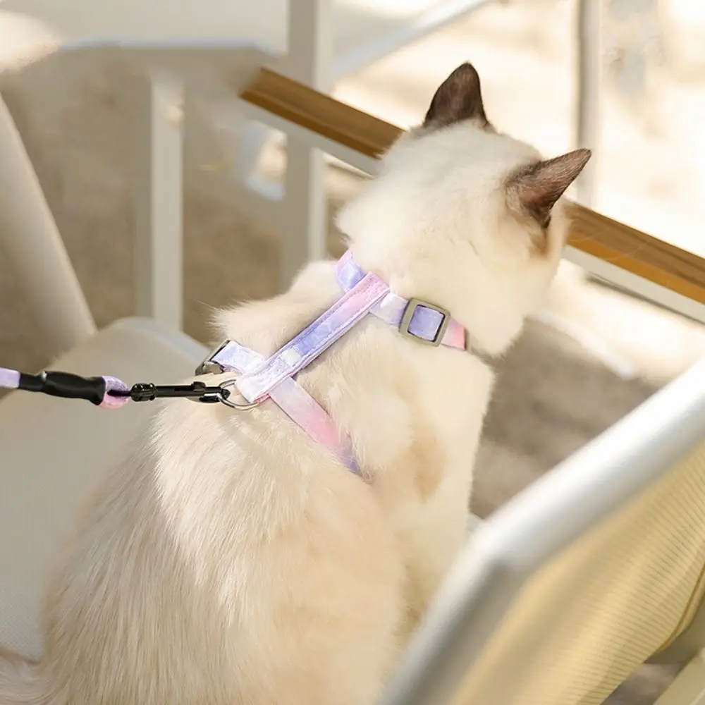 مجموعة حزام ومقود للقطط قابلة للتعديل، مقاومة للهروب، طوق متدرج للقطط، مقود ناعم وخفيف الوزن، ياقة بحزام للقطط في الهواء الطلق #1