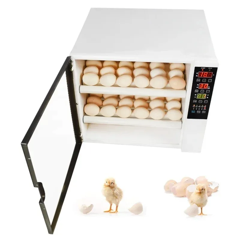 Hot sale full automatic 60 pcs mini egg  hatching machine industrial