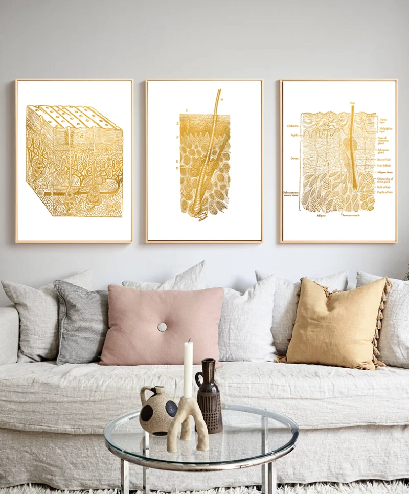 Gold Skin Anatomy Dissection Histology Anatomical Charts Posters Canvas print Wall Pictures for Medical Education Home Decor