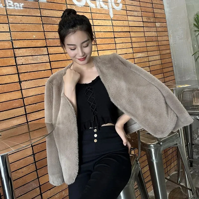 2024 Autumn and Winter New Rabbit Hair Imitate Fur Coat Women\'s Mink Fleece Coat Short Versatile Mesh Red Plush Coat Quilted Coa