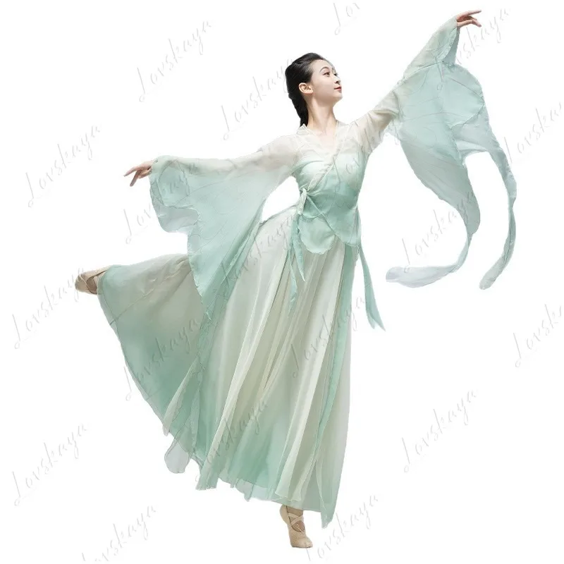 

Elegant Butterfly Gradient Chiffon Top for Ladies Flowy Chinese Dance Costume Show Outfit