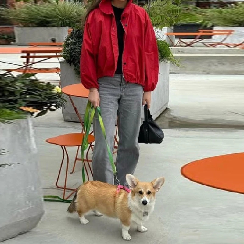 2025 Spring and Autumn Collar Button Solid Color Long Sleeve Coat Street Style Women's Jacket