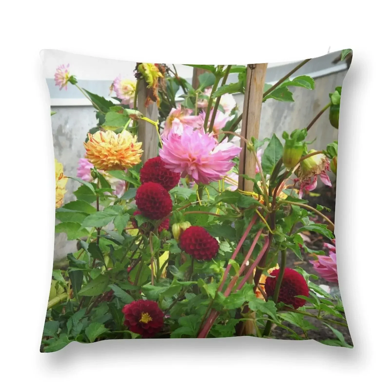 A garden of Dahlia delights\\ Throw Pillow Throw Pillow Covers Pillowcase Cushion Decorative Sofa Cushion Sofa Cushions pillow