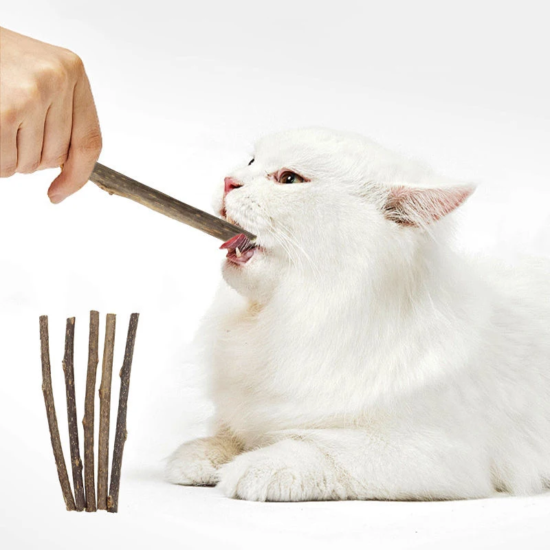 Silvervine Sticks for Cats Natural Catnip Chew Sticks Teeth Molar Chewing Toys for Cat Kitten Kitty Gifts image 2