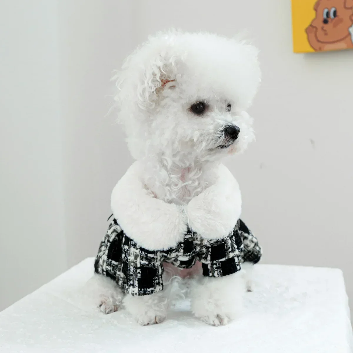 Pet Plaid Woolen Dress Dog Fur Collar Autumn and Winter Coat Cat Clothing Autumn and Winter Flower Dress Puppy Clothes