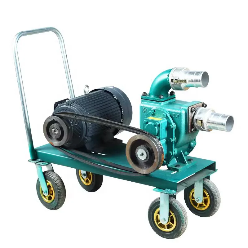Submersible Mud Water Pump for Septic Tank Sewage Fish Pond Pig Manure Suction Pump-Premium Vacuum Pump