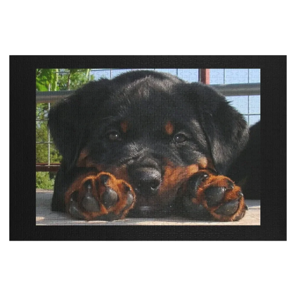 Rottweiler Puppy Domining Head Entre les pattes Jigsaw Puzzle, Customized Gift, Customized Puzzle, Cute