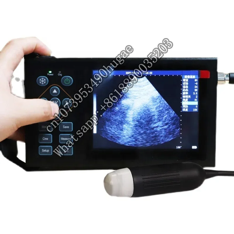 

Wireless Cheap Veterinary Ultrasound Machine Sonar Portable For Sheep Cow