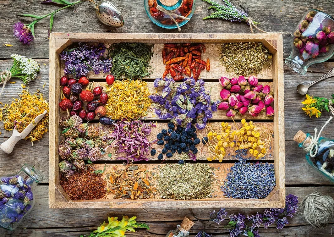 

Jigsaw Puzzle 1000 Pieces Plants Landscape Puzzle Home Decor for Adults Game Family Fun Puzzles Educational Toys