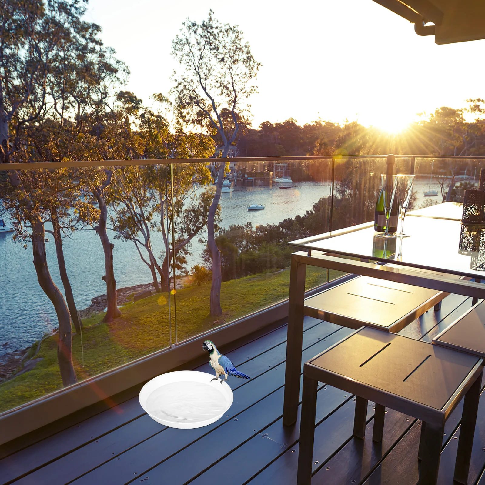 

2Pcs Bird Water Bowls Round Plastic Feeder Dishes Hummingbird Feeding Stations Encourage Wildlife Conservation