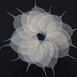 100pcs 4-10cm Dried Natural White Peepul Bo-tree Large-Tree Leaf Leaves Skeleton Wedding Party Home Mural Bookmark Jewelry Craft