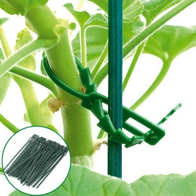 

50pcs Adjustable Plastic Plant Cable Ties Reusable for Garden Supplies Tree Climbing Support Plant Vine Tomato Stem Clip