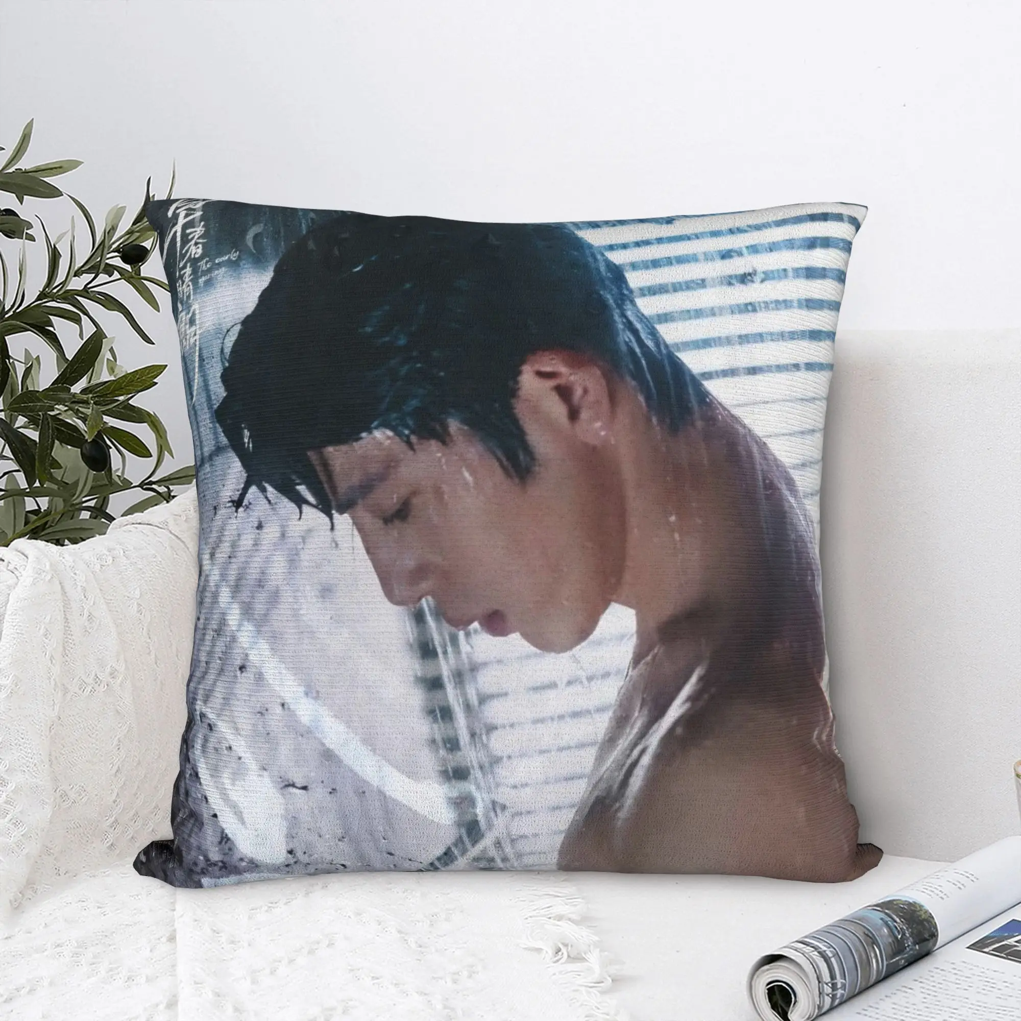 Soft Early Spring Jing Boran Luan Nian Luke Pillowcase Polyester Cushion Cover Decorations TV Pillow Case Cover Car Wholesale