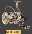 12000
