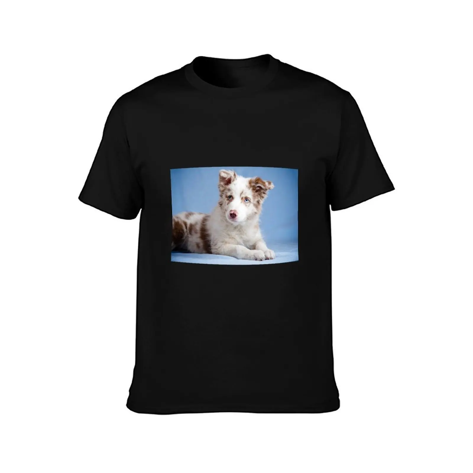 Cute border collie puppy T-Shirt, Summer Casual Cotton Tee, Oversized Streetwear Tops, Vintage Graphic Print, Unisex Men Women