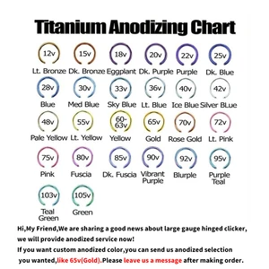 Kanan Grand ASTM F136 Titanium Pengukur Besar 6G 8G 10G Segmen Clicker Berengsel Tunggal Cincin Ring Septum Tindik Hidung 10 penjualan terbaik tindik tongkat pangeran albert - №
