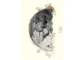 Regla ajustable que ajusta la altura del coche RC y la llanta de la rueda Camber, medidor de altura de paseo de 3-42Mm