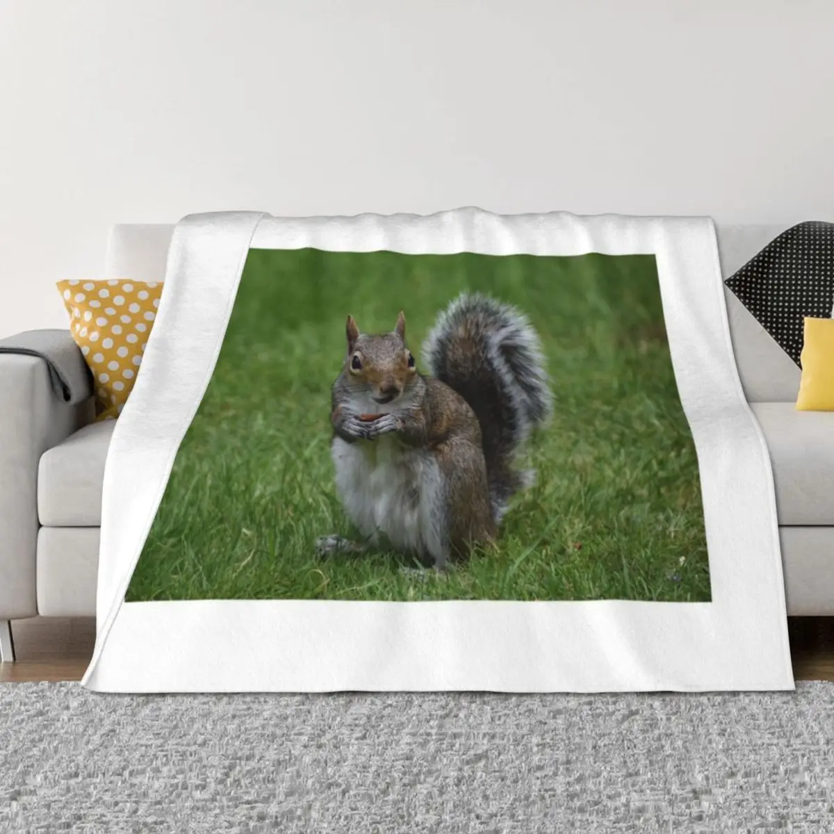 

Grey Squirrel with a peanut Throw Blanket Kid'S warm winter Soft Beds Hairy Blankets