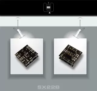 sx22b-high-end-module-discrete-component-dual-operational-amplifier-chip