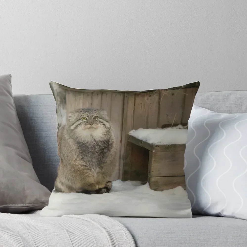 

Zelenogorsk the Pallas's cat is warming his paws on a tail Throw Pillow Sofa Cushion Marble Cushion Cover pillow