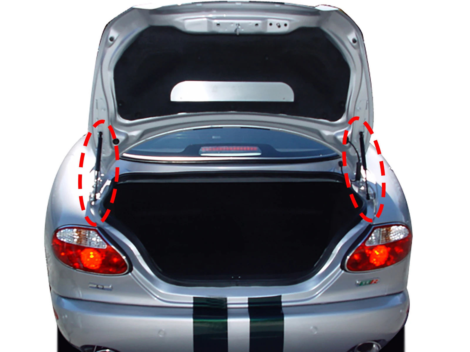 2X Tailgate Gas Spr… - image
