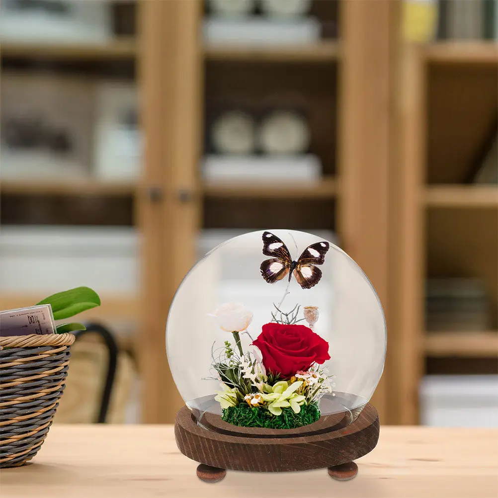 Elegant Glass Cloche Bell Jar Dome with Natural Wood Stand for Terrariums Dust Protection Desktop Display Home