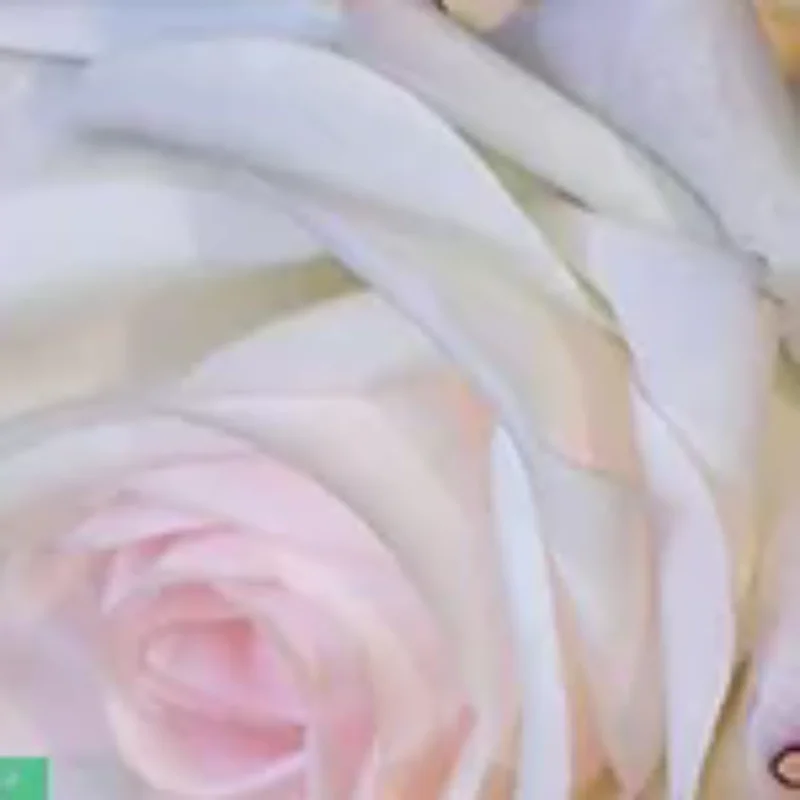 Newborn Flower Photography Accessories Newborn Photography Props Baby Accessories Milestone Wooden Sticker Shooting Props Gifts