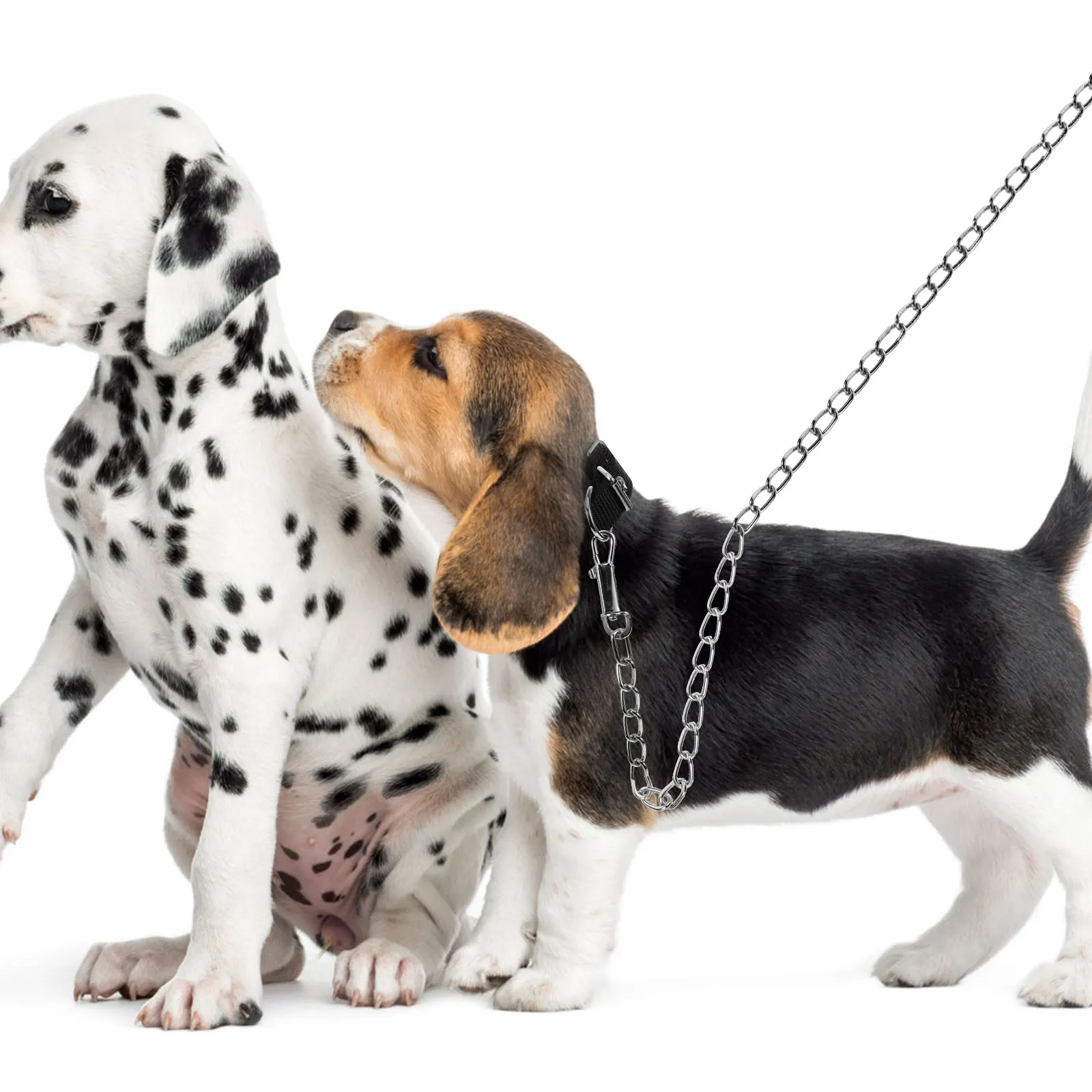 

2pcs A Set Pet Ring Dog Collar Durable Pet Supplies Pet Collar with Pulling Iron Chain (Black S, Suitable for Pet Weight 1.5-5kg