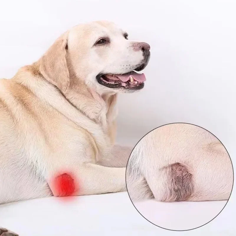 2024 Pet Knee Pads for Joint Injury Recovery Legs Protector Dog Thigh Brace Wrap Adjustable Support Belt Post-operative Fixation