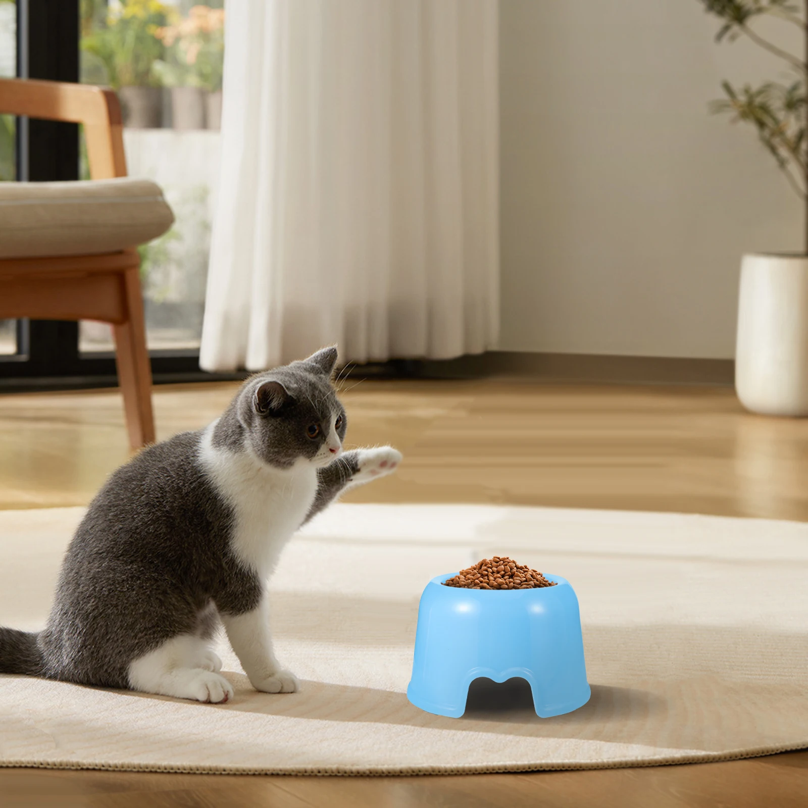 

Portable Pet Feeding Bowl Bowls for Small Dogs Tableware Puppy Water Food Feeder