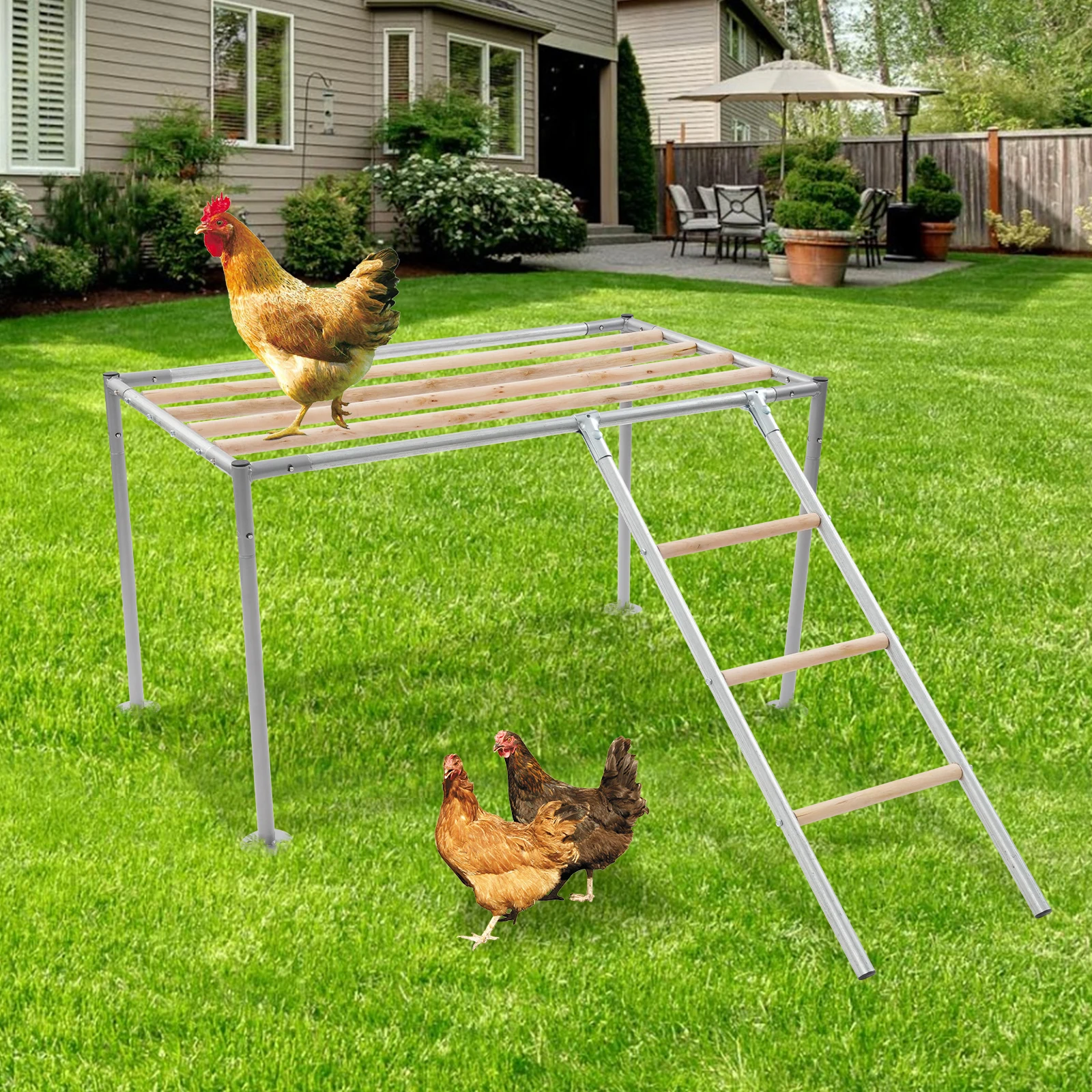 Perchoir à poulet à plateforme couleur argent et bois avec échelle à poulet, 10 poulets adultes, perchoir à poulet autoportant pour ferme de poulailler