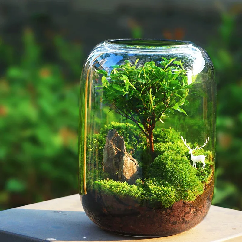 1PC Large Belly Glass Bottle, Used For Home, Office, Window Display, Desktop Decoration, Micro Garden, Handmade DIY Scenes