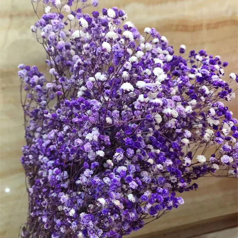 

Natural Fresh Dried Preserved Flowers Baby Breath Bouquet Gypsophila Flower Colorful Mini Flowers Christmas Wedding Home Decor