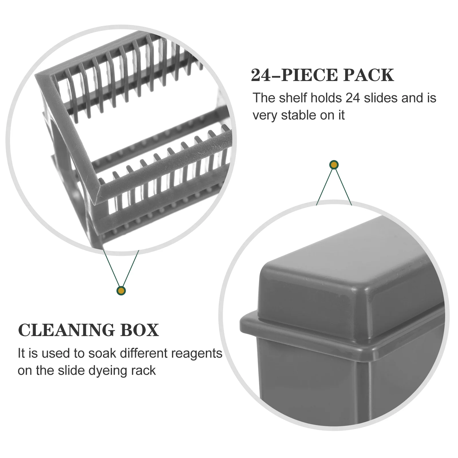 Slots Microscope 24 Slots Microscope Slides Staining Rack Plastic Slides Staining Jar Dyeing Tank Laboratory Supplies