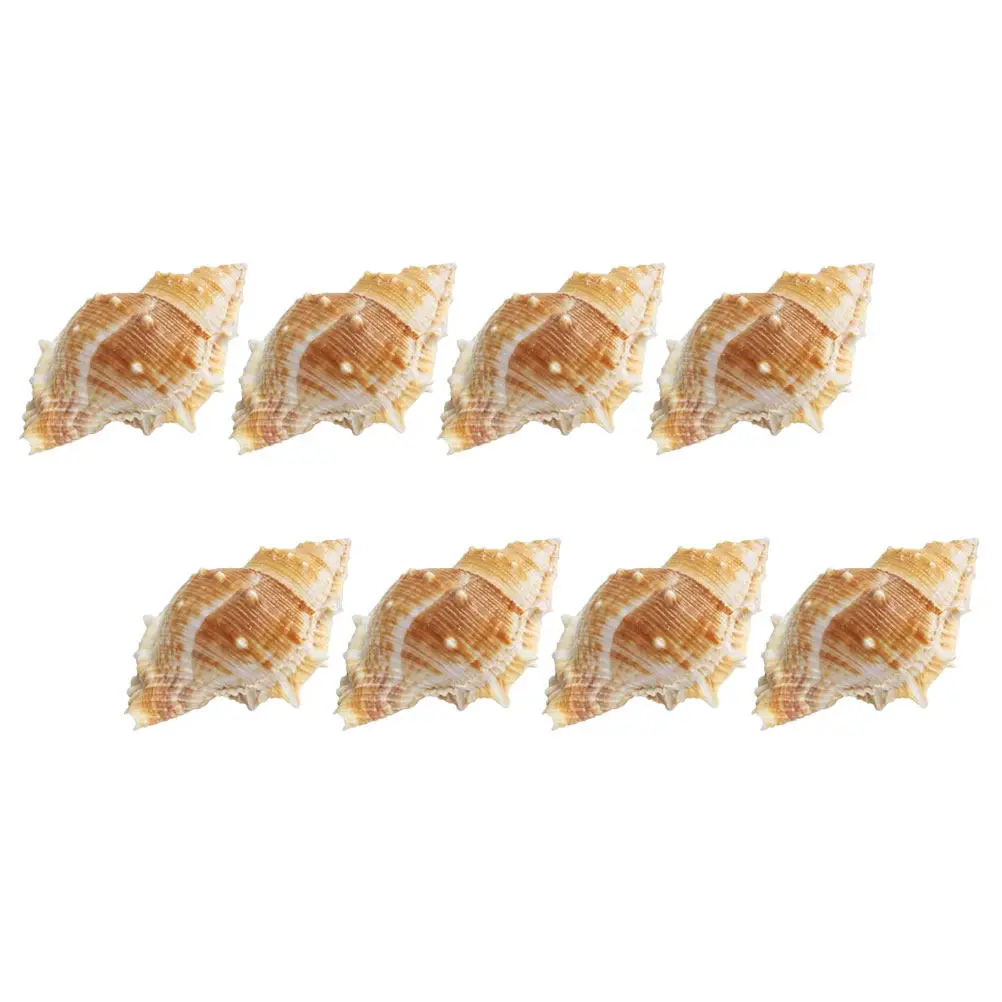 8Pcs Natural Sea Shell Conch Decoration Smooth Craft DIY Fish Tank Aquarium Landscape Decor Nautical Home Ornament