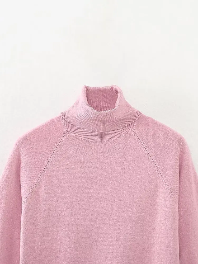 Withered 2024 Fashion Simple Autumn British Turtleneck Sweater Basic Short Top Sweater For Women