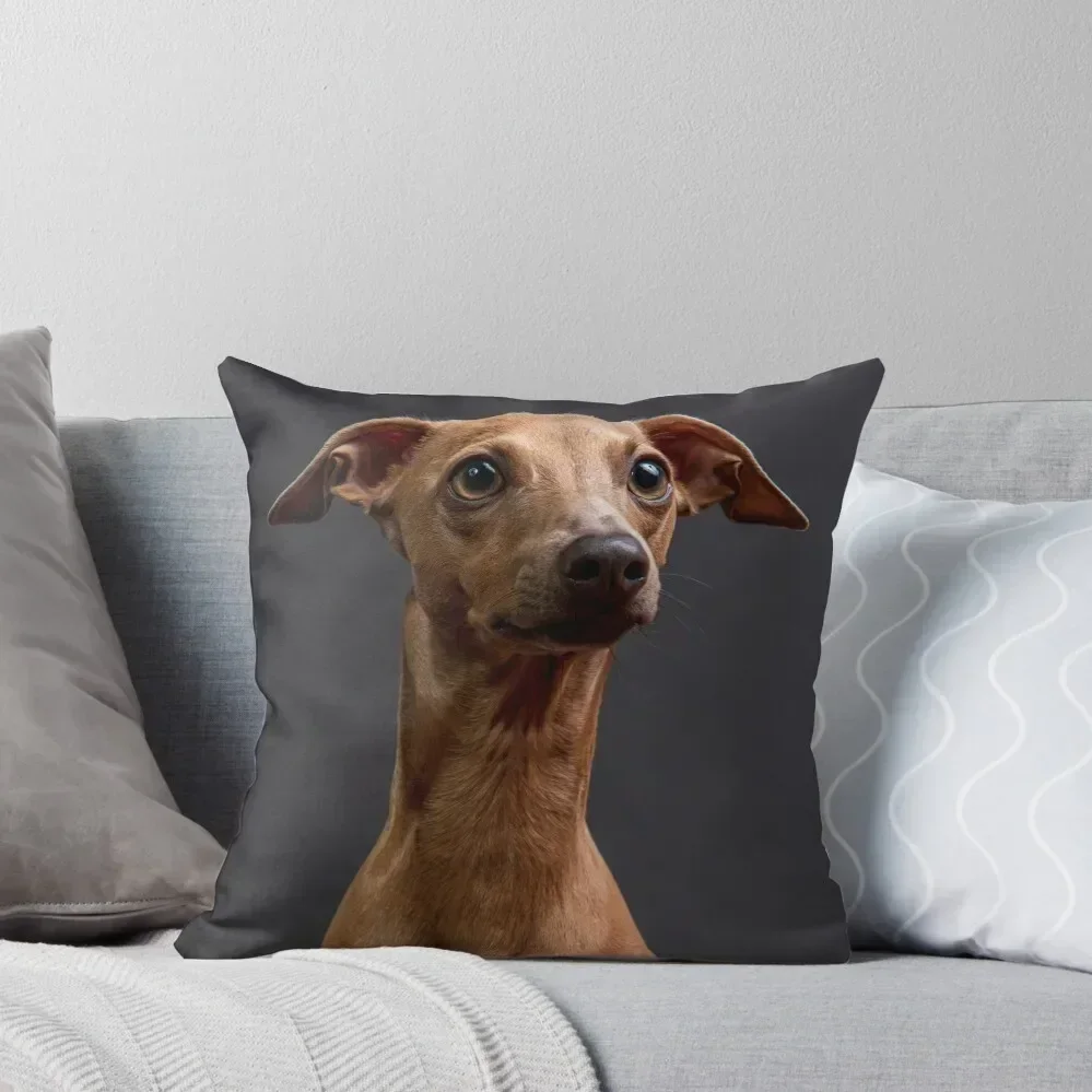 

Cute dog, an italian greyhound, against dark background Throw Pillow Sofa Pillow Cover Elastic Cover For Sofa pillow