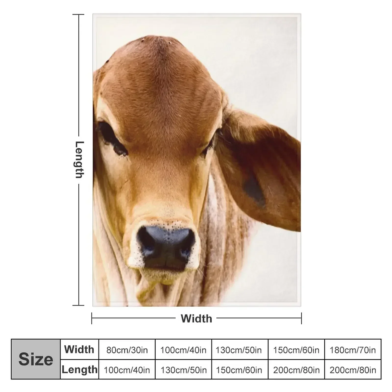 BRAHMAN CALF, PORTRAIT Throw Blanket Decorative Sofas Tourist Extra Large Throw Travel Blankets