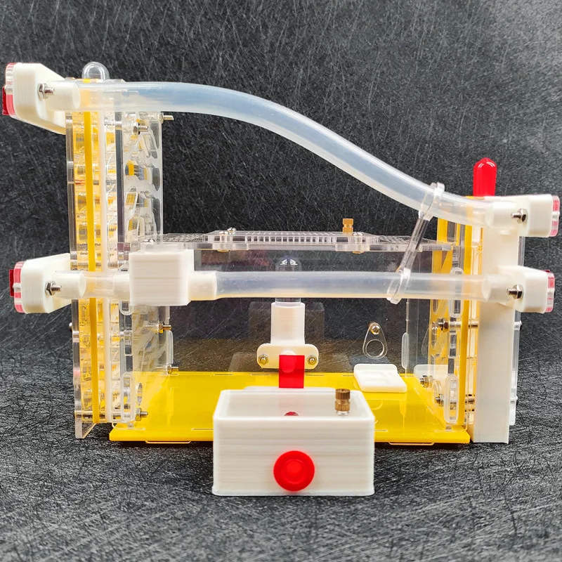 Akryl mravencovití farma 3D mravencovití hnízdo s krmení areál hydratační voda chapelle hmyz mravencovití dr. house vila mraveniště zvířátko dílna 11*15*21cm