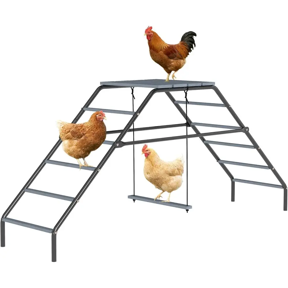 

Adjustable Chicken Coop Perches with Swing, 10 Bars, Activity Play Set, Backyard Accessory