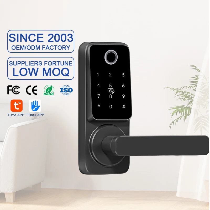 Smart Lock Ttlock Smart Door Lock for Residential American Front Door Internal Door Locks Digital