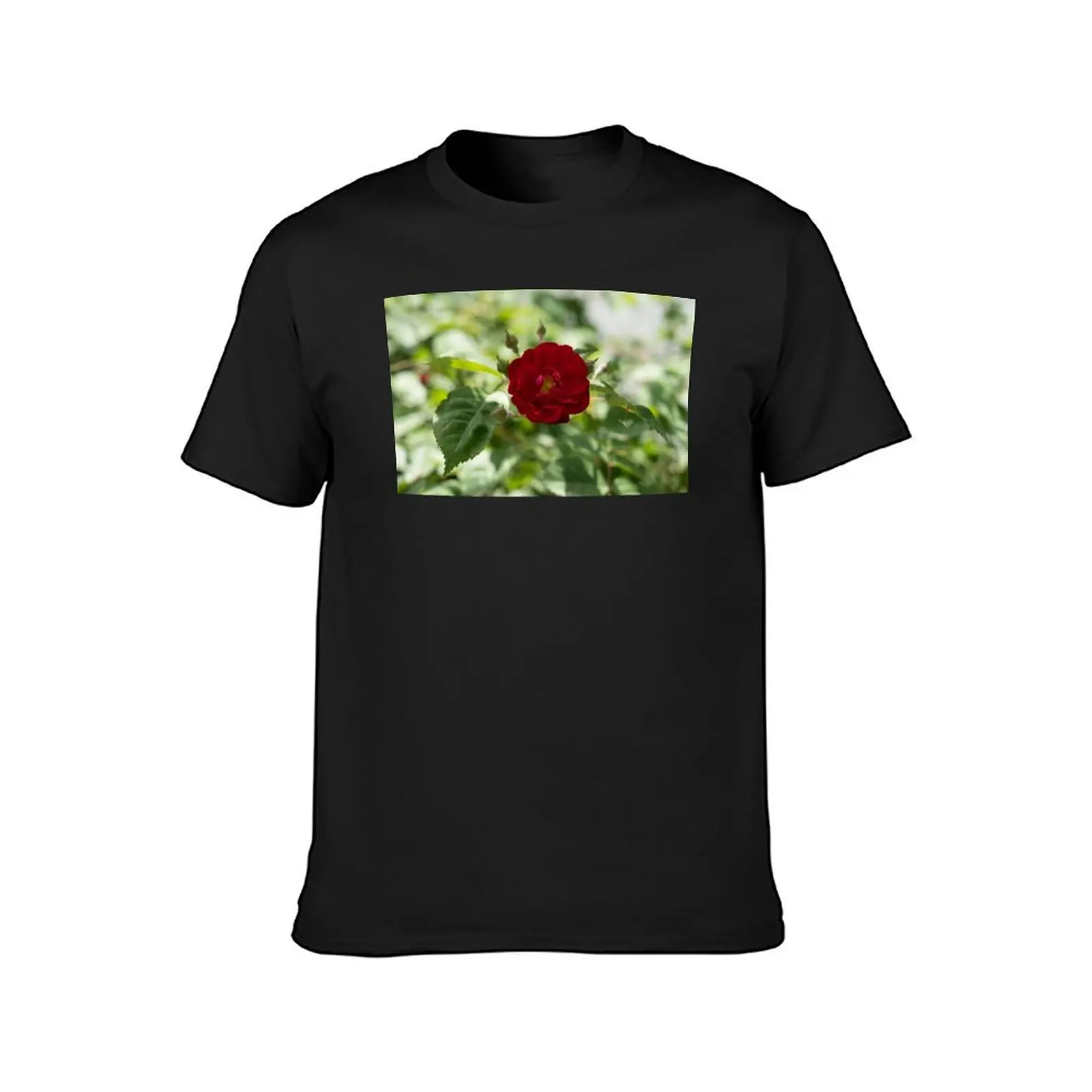 Bold Red Rose Bloom with Dreamy Background T-Shirt anime clothes blacks funnys aesthetic clothes mens graphic t-shirts anime