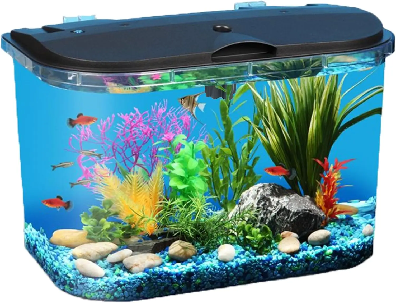 

5-Gallon Aquarium Kit with LED Lighting & Power Filter for Tropical Fish