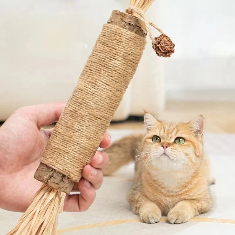 Catnip Cat Toys Natural Matatabi Pet Cat Snacks Stick Cleans Tooth Removers Hair to Promote Digestion Silvervine Kitten Chew Toy