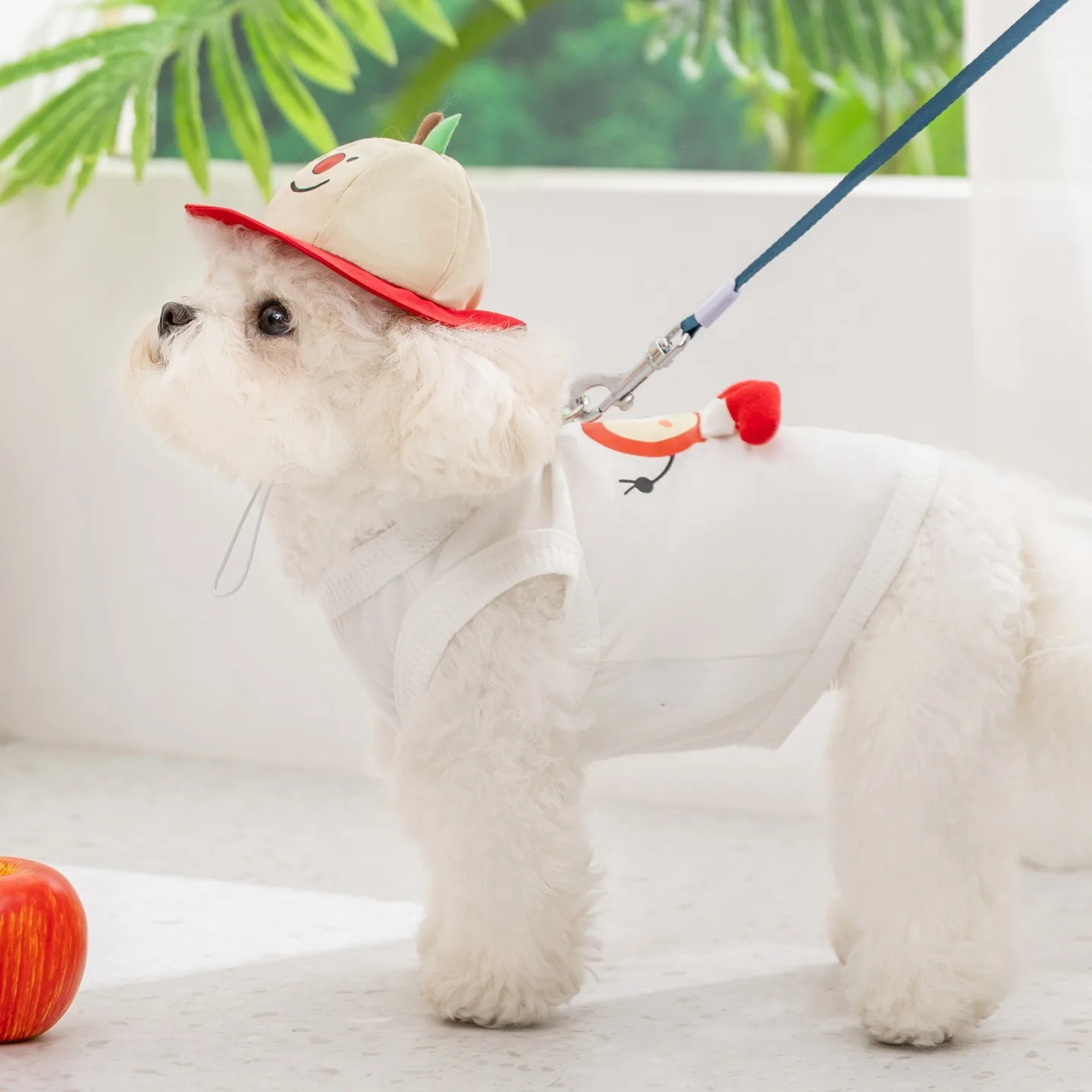 with Hat Summer Fruit Pet Clothes Thin Small Dog Vest Soft Short Sleeve Fashion T-shirt Compared to Bichon