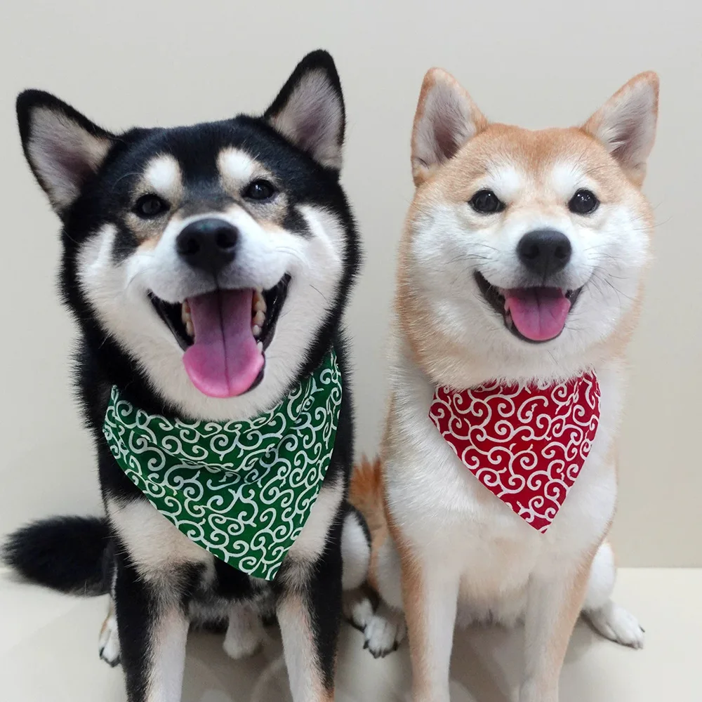 Thumbnail 2 - #29 Best Rated Puppy Bandanas to Buy in 2026