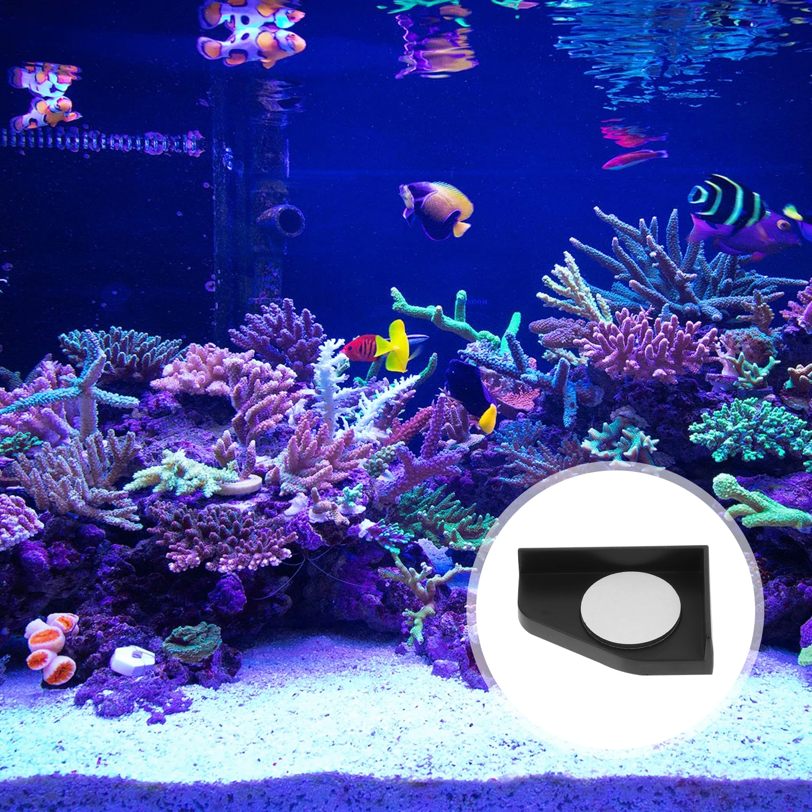 

4 Pcs Anti Collision Corner Guards for Fish Tank Aquarium Base Protector Easy Installation Safe Decor Style Home Furniture Pet
