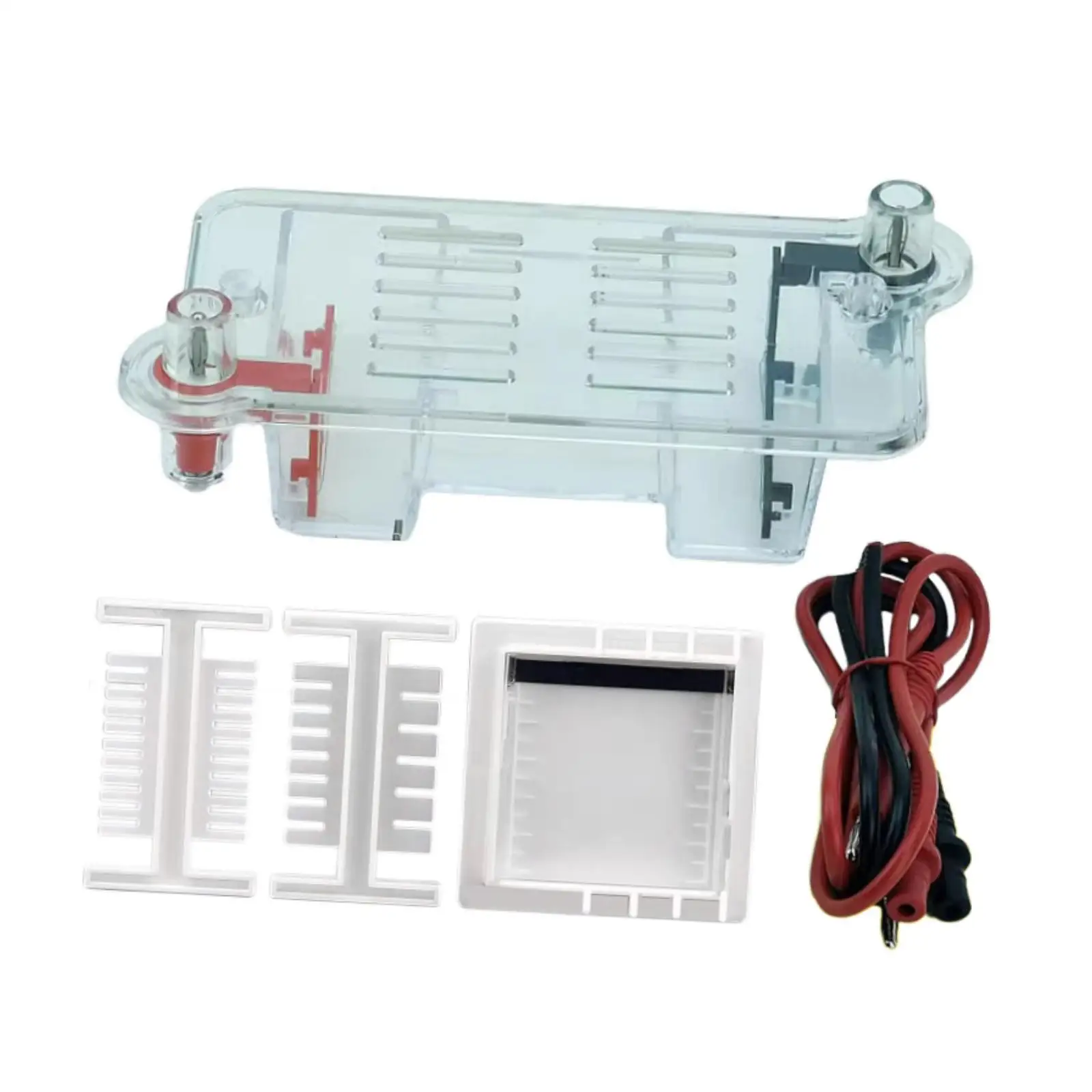 Projetos de experimentos de aparelhos de eletroforese, equipamento experimental de biologia de aprendizagem resistente para estudantes de meninos e meninas do ensino médio