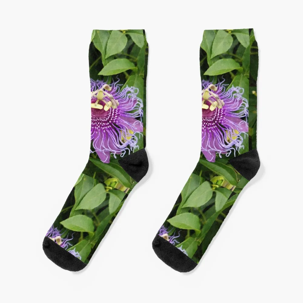 

flower of passion Socks Wholesale colored Male Socks Women's