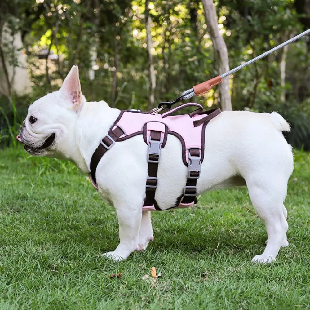 Thumbnail 4 - #17 New Dog Car Safety Harnesses Arrivals